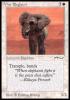 War Elephant b